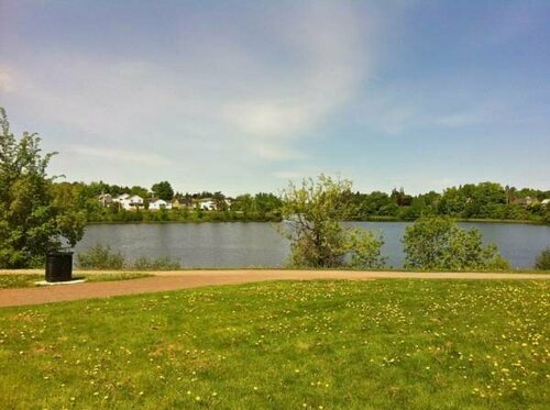 Гостиница Go Motel в Монктоне