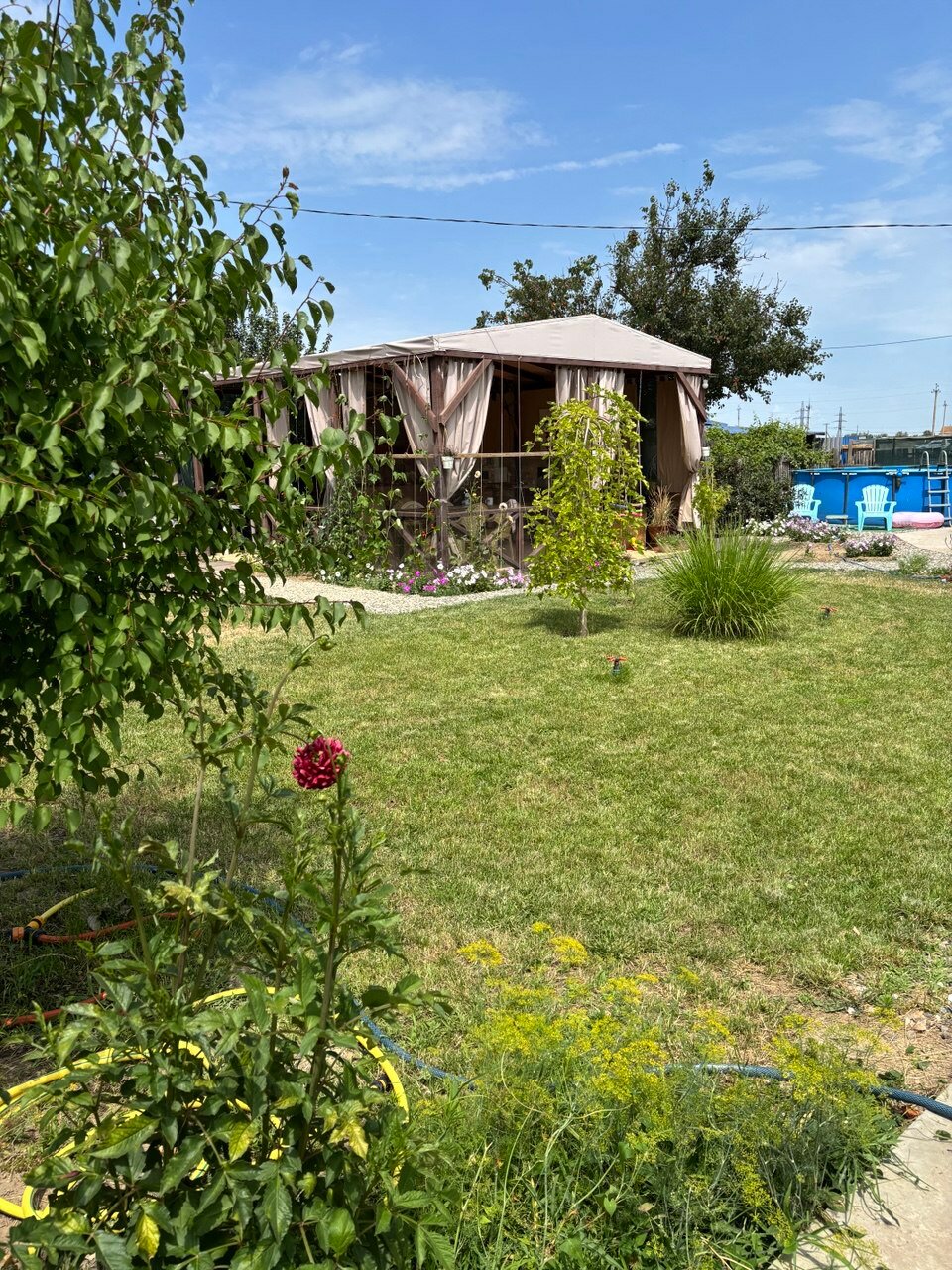 Фото База 33