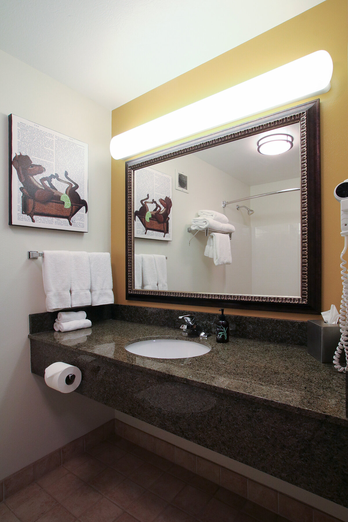Фото Oxford Suites Spokane Valley