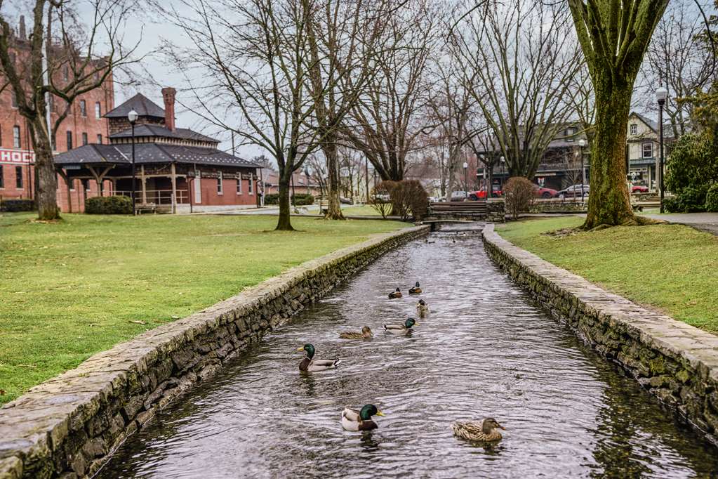 Фото The Wilbur Lititz, Tapestry Collection by Hilton