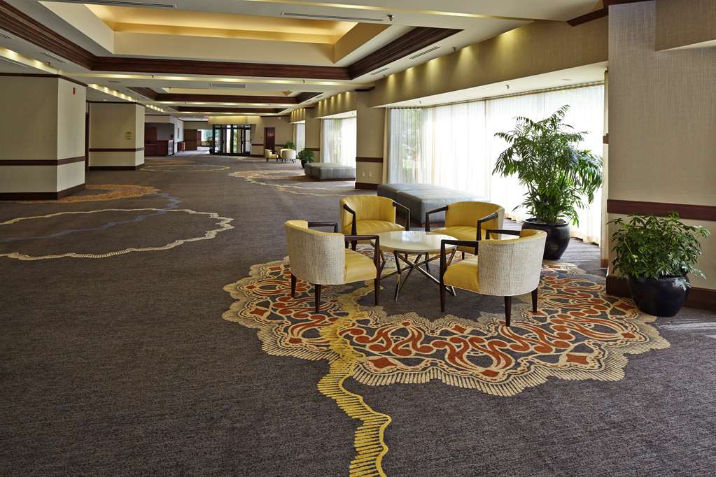 Фото Hilton Raleigh North Hills