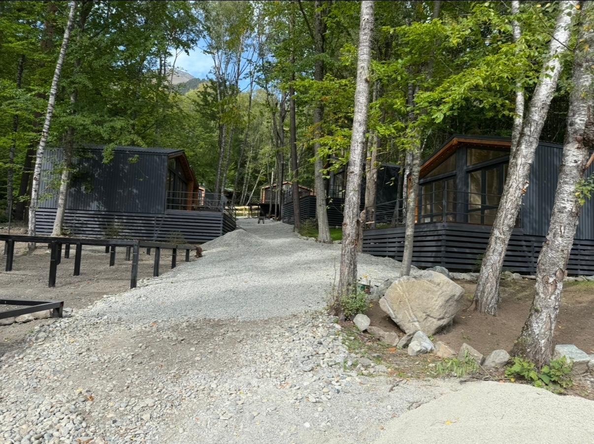 Фото Шёпот Леса