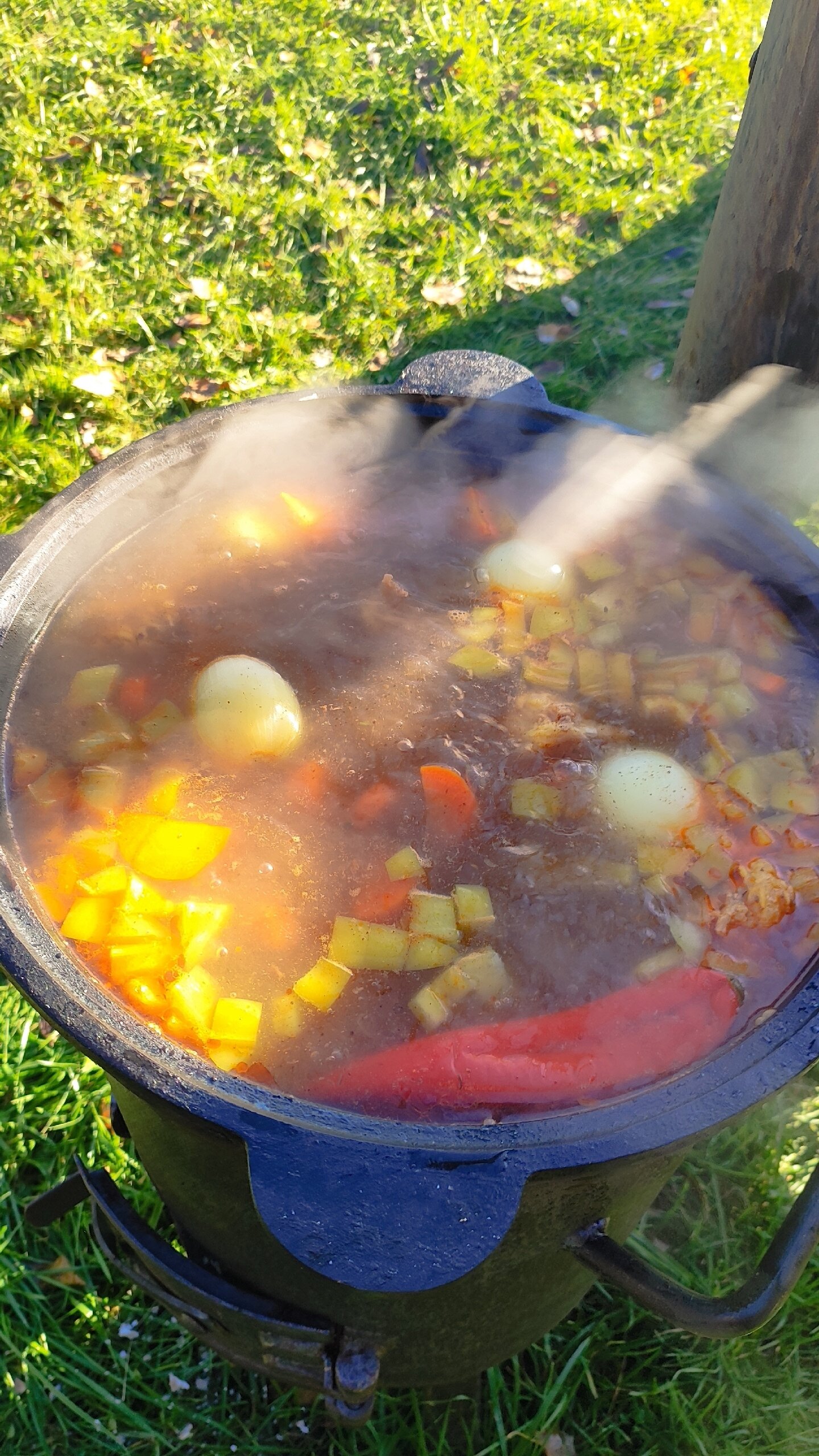 Фото База отдыха Ильмень