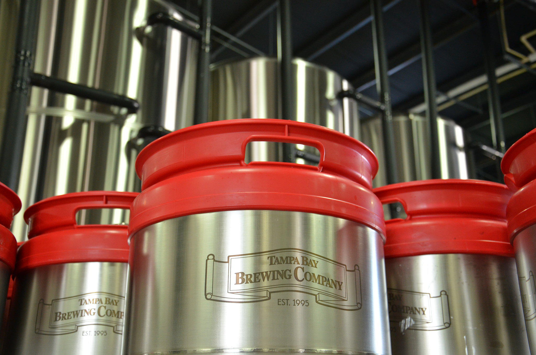 Фото Holiday Inn Express Hotel & Suites Tampa Northwest - Oldsmar, an Ihg Hotel