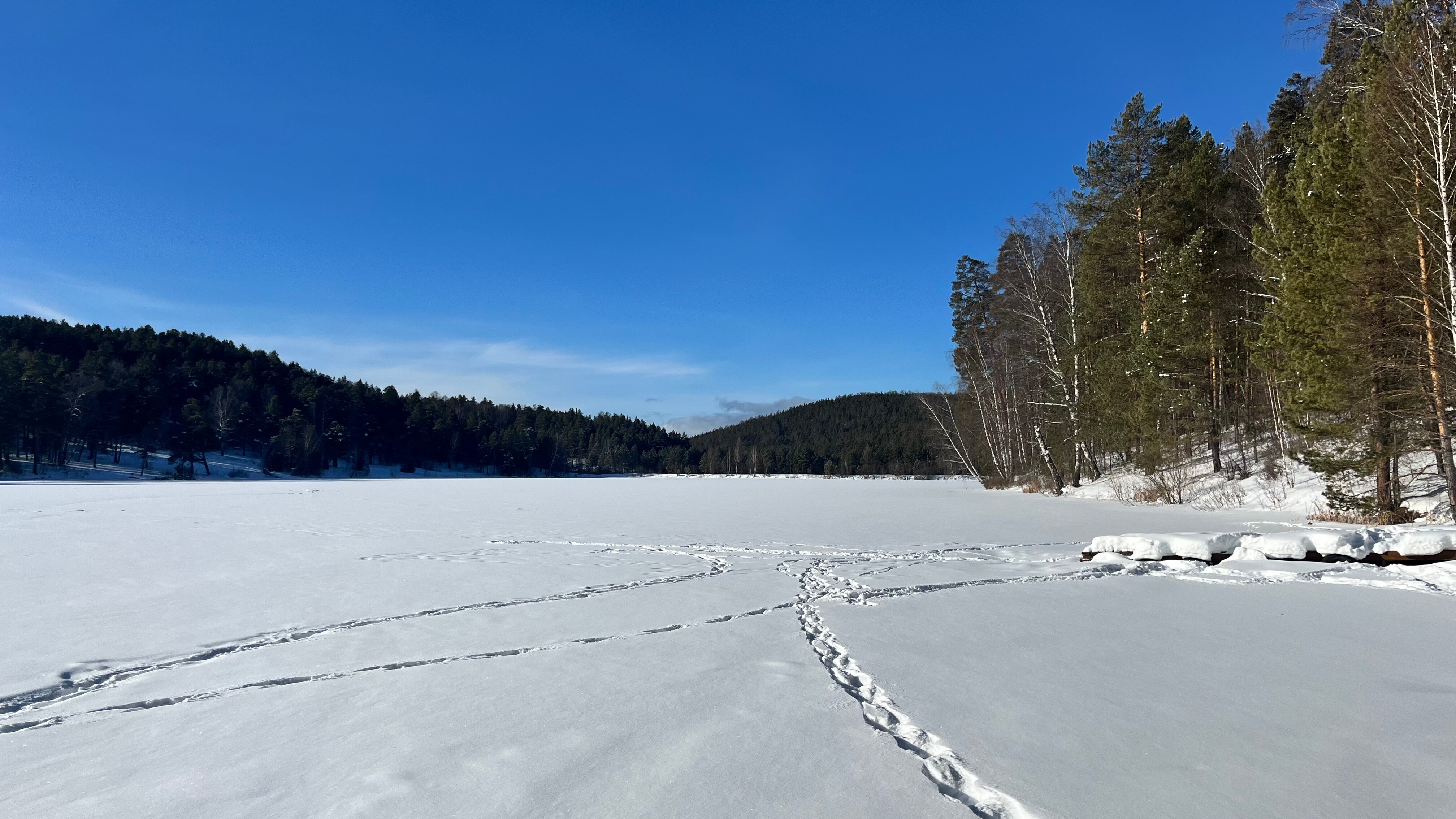 Фото Каменный цветок
