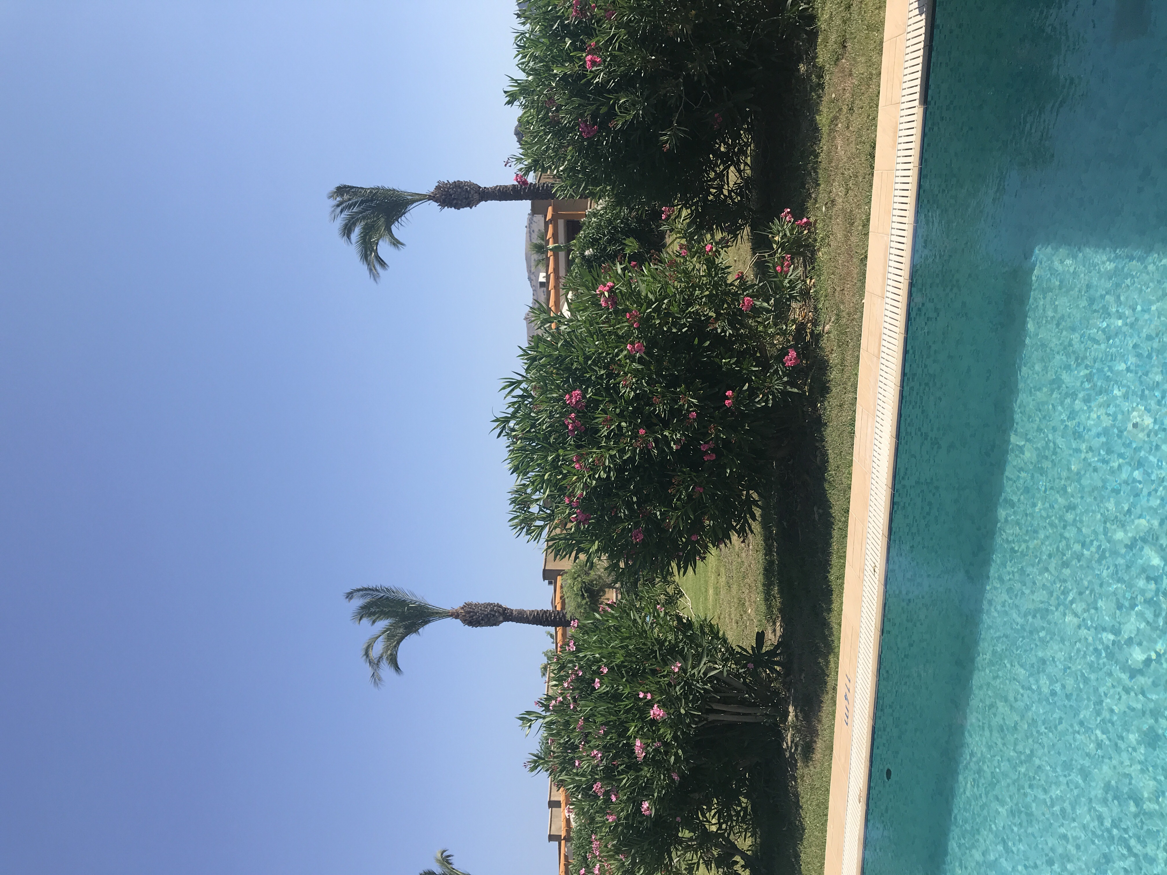 Фото Atrium Palace Thalasso SPA Resort & Villas