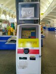 PayBerry (улица Щербака, 3), payment terminal