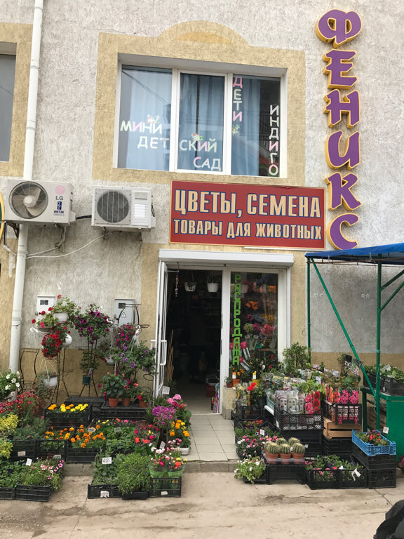 Евпатория Проспект Победы Магазины