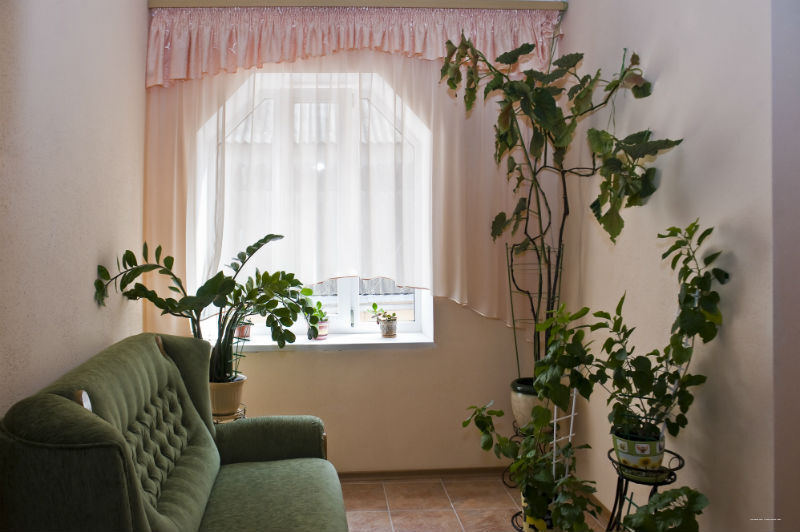 Фото Приморский парк- Rooms-park