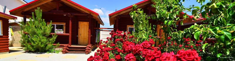 Фото В гостях у Тихона