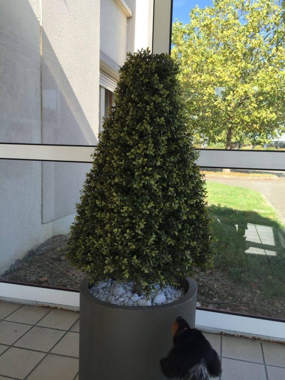 Фото Greet Chartres Est