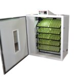 Ask Incubation Machines (Antalya, Kepez, 23. Cad., 7), machine building