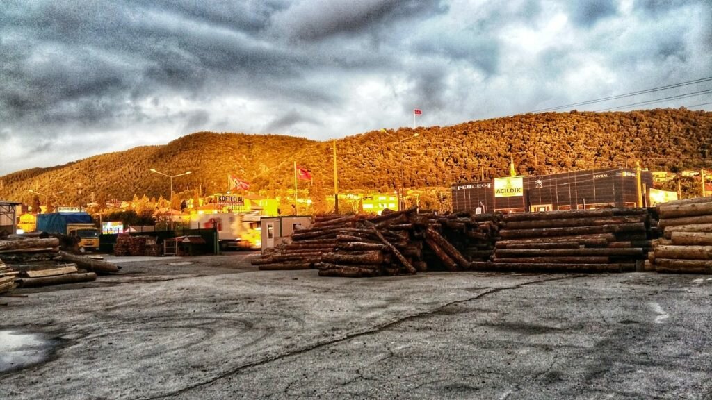 Lumber Palette Express, Ciftlikkoy, photo