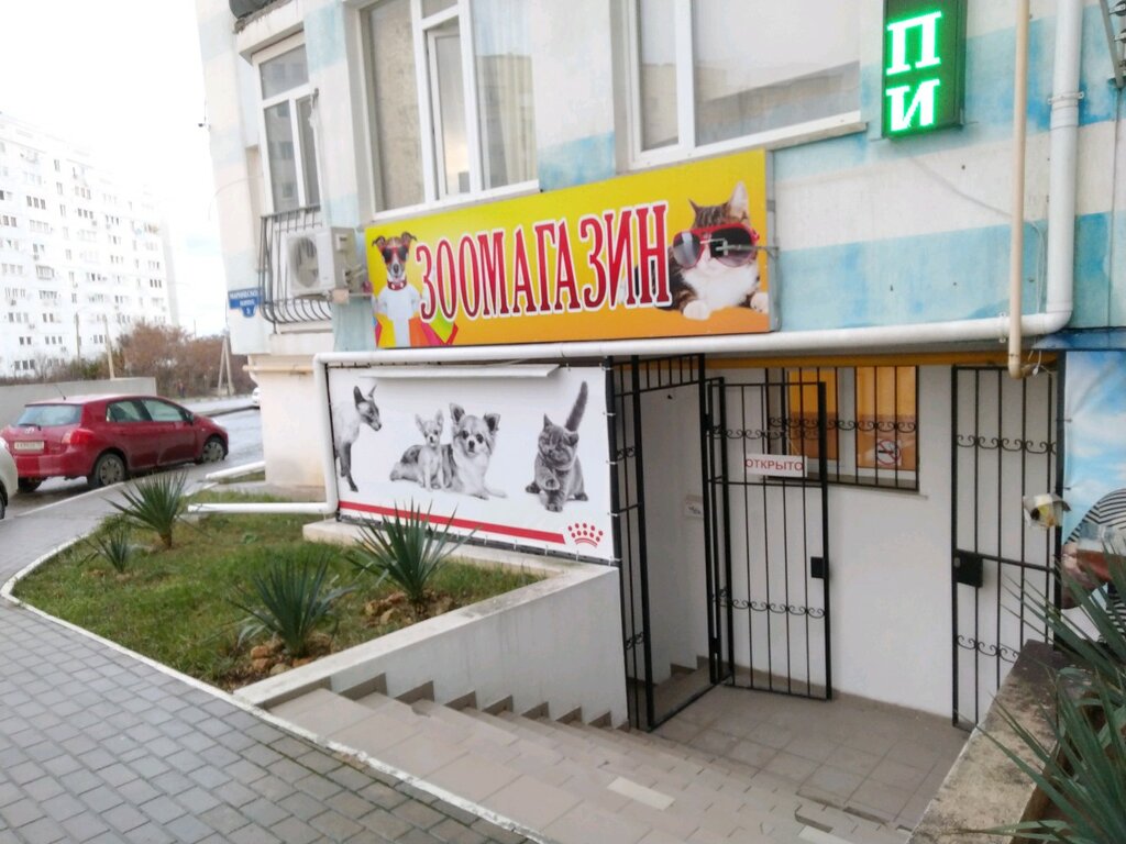 Зоомагазин Севастополь Интернет Магазин