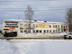 Товары для ремонта (Novodvinsk, ulitsa Voroshilova, 16) ، متجر مستلزمات البناء