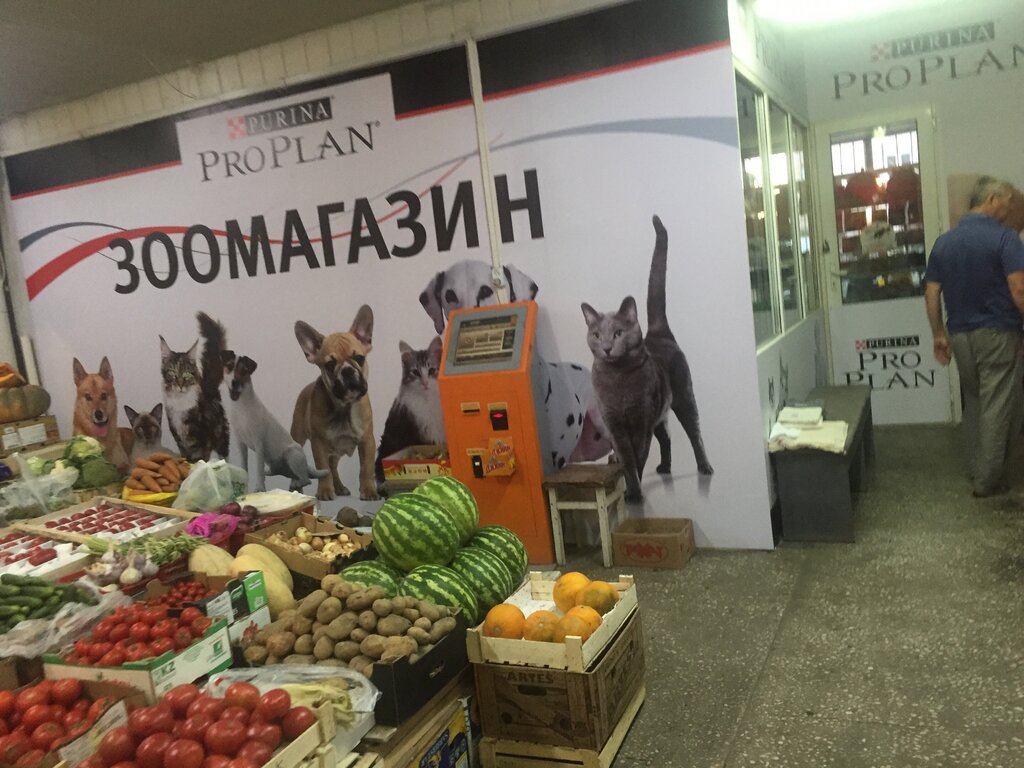 Pet shop Zoo Galchonok, Almaty, photo