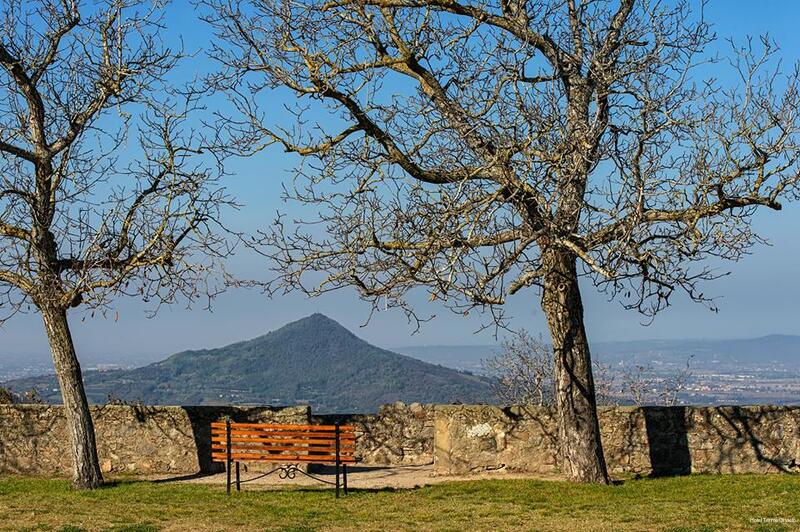 Фото Hotel Terme Orvieto