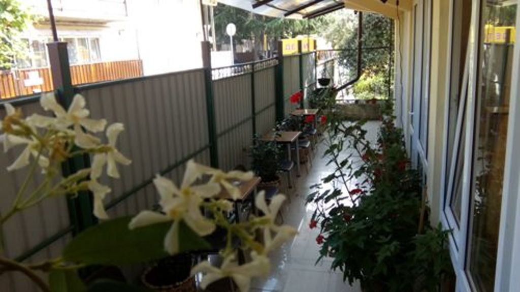 Фото Диковинка Сочи