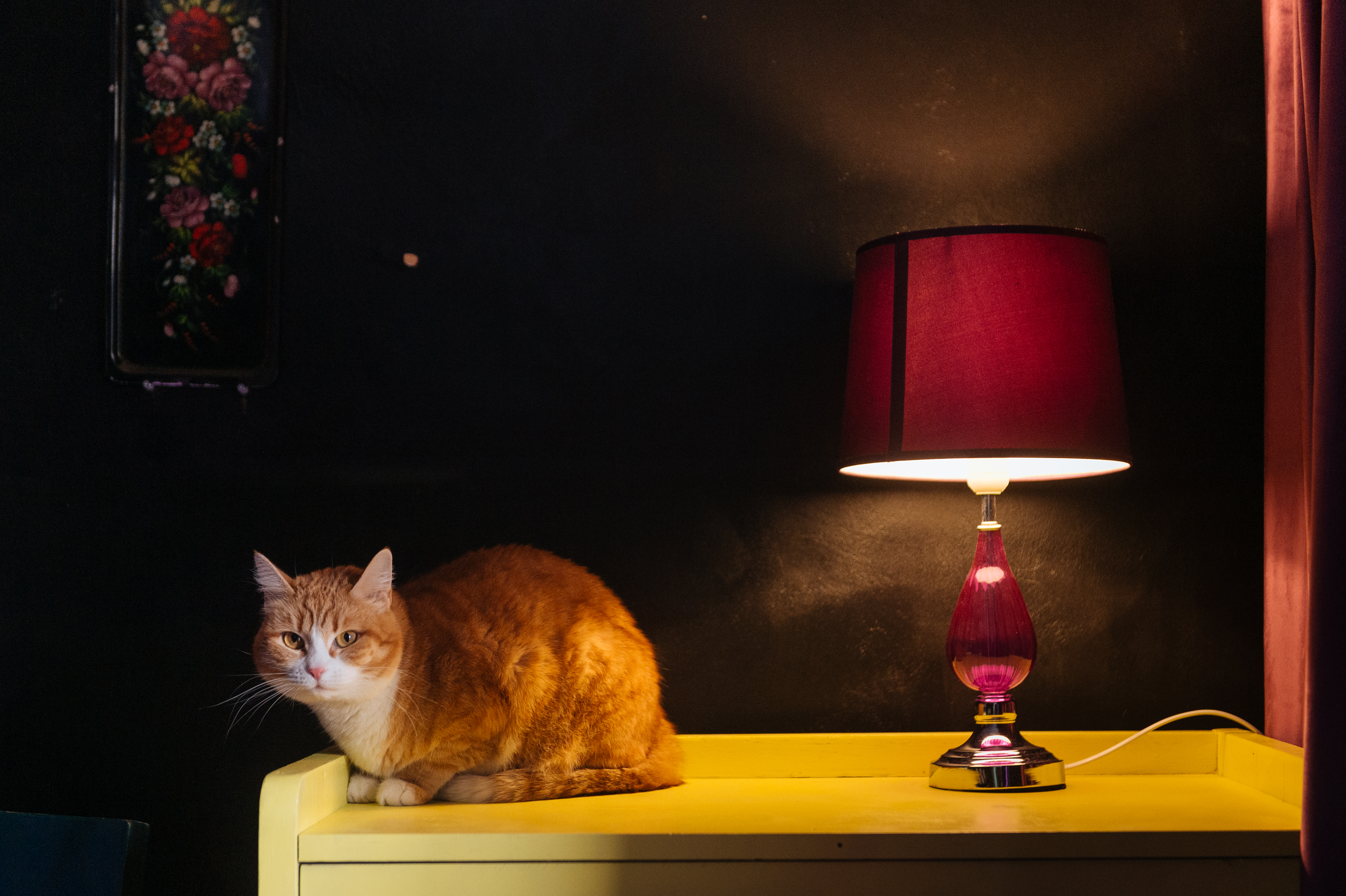 Фото СказкаАзия