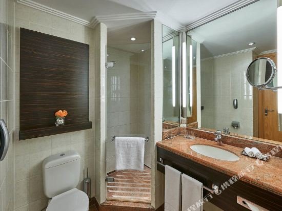 Фото Hilton Frankfurt City Centre