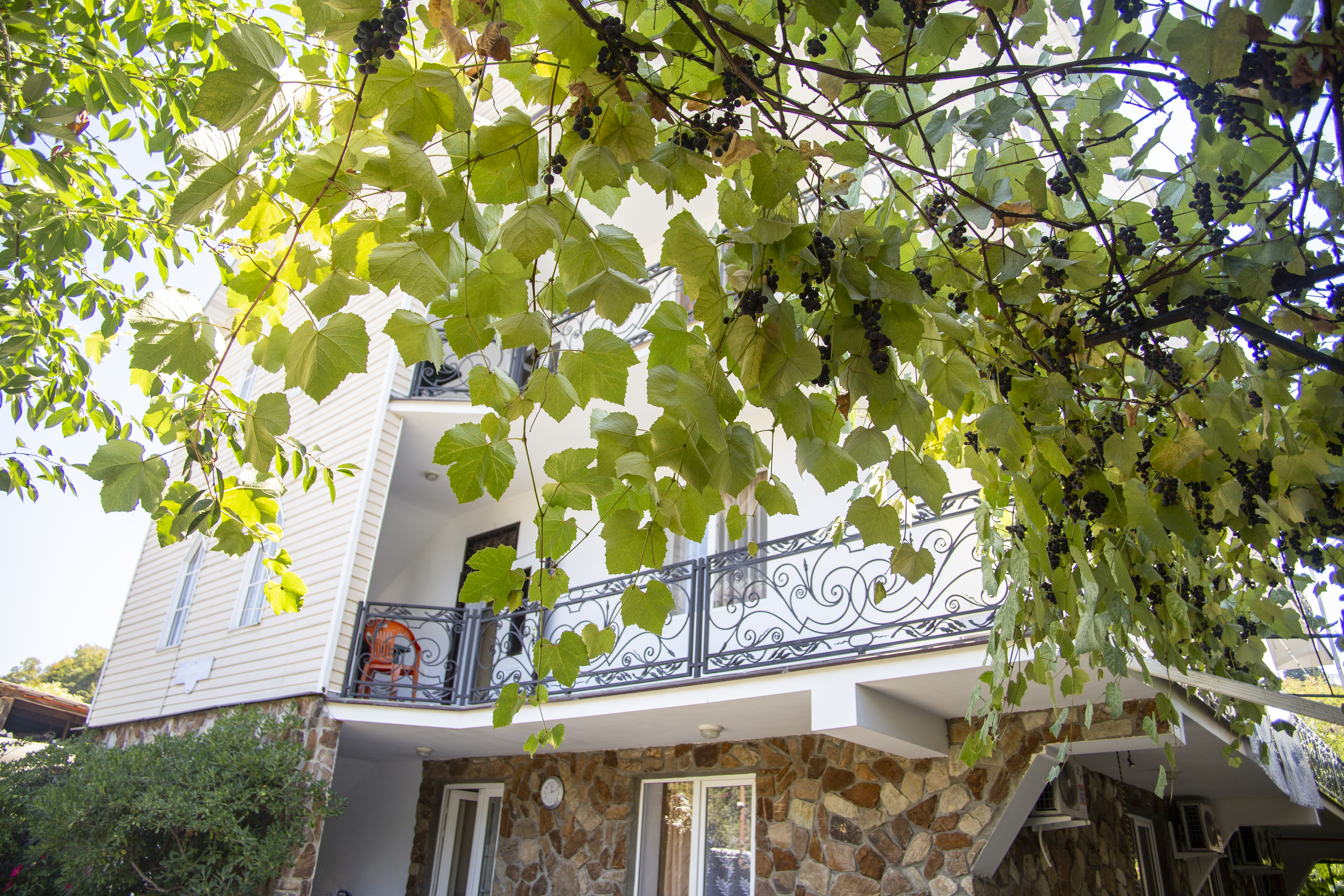 Фото Марина