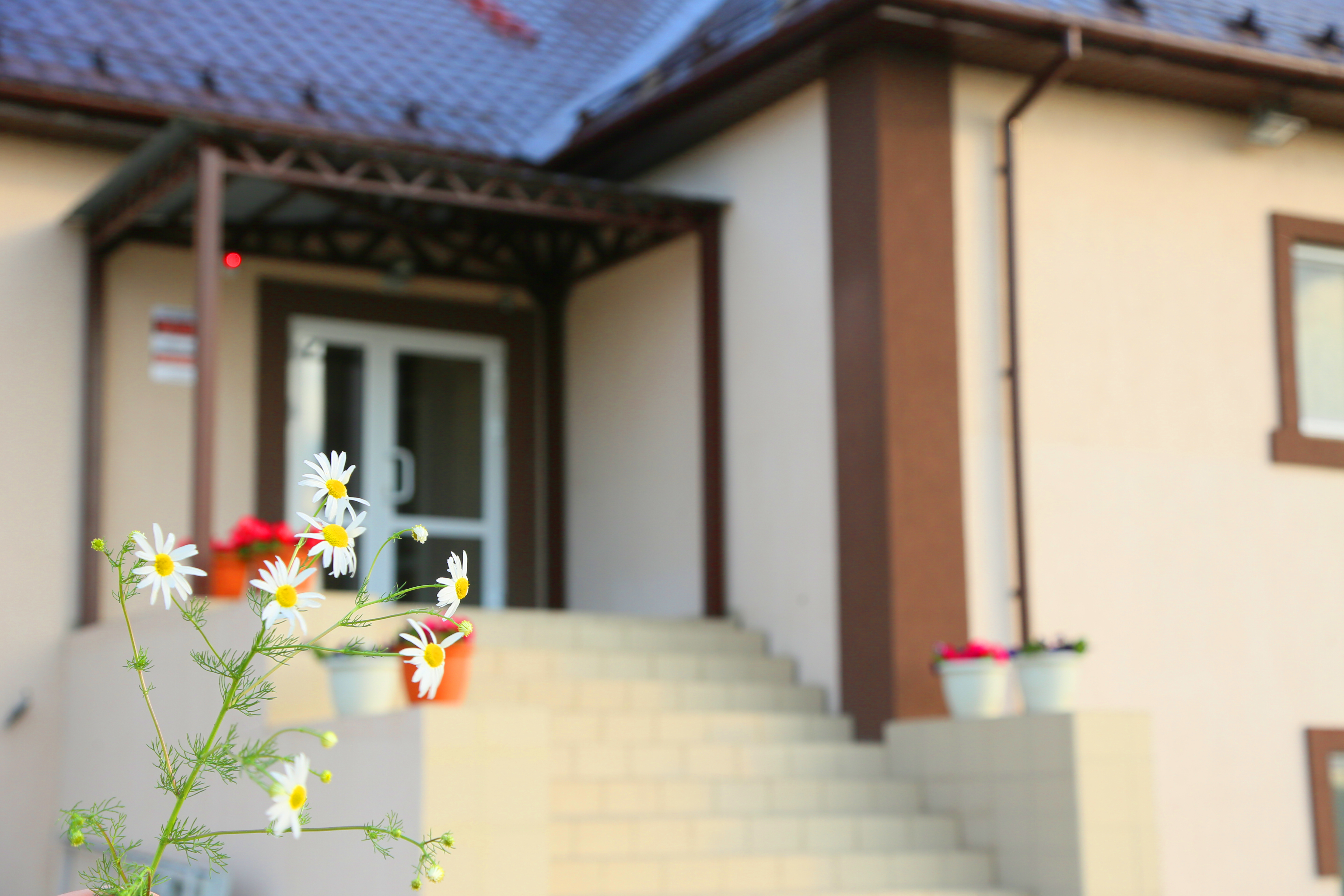 Фото Усадьба