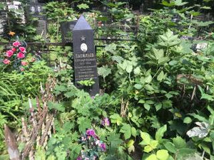 Младший лейтенант Александр Иванович Васильев (Москва, Преображенское кладбище), могилы известных людей в Москве