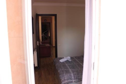 Фото Дельфин