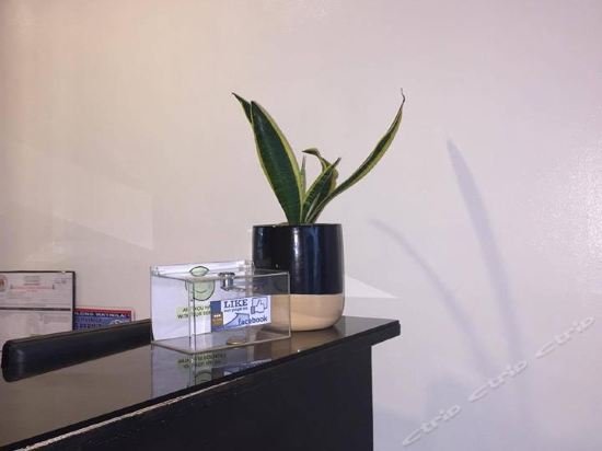 Фото Toilena Room and Board