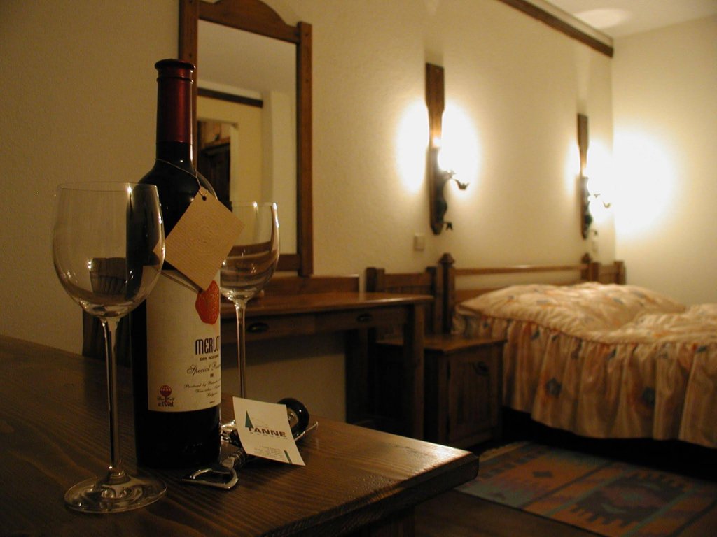 Фото Hotel Tanne