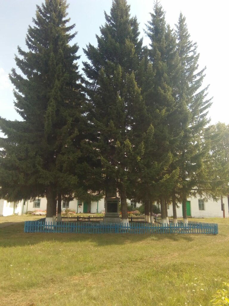 Обелиск, monument, memorial, Omsk Region, Tyukalinskiy rayon, derevnya ...