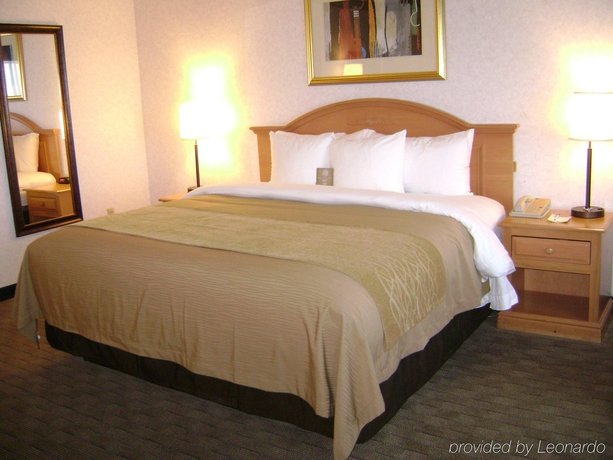 Фото Comfort Inn