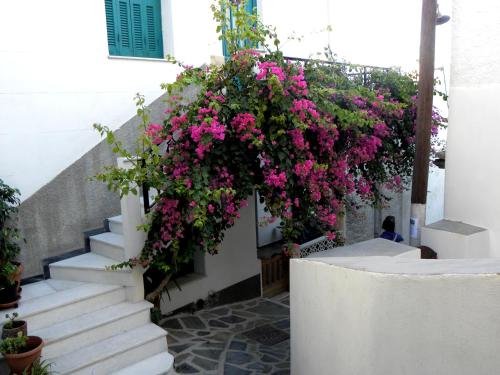 Фото Hotel Anixis