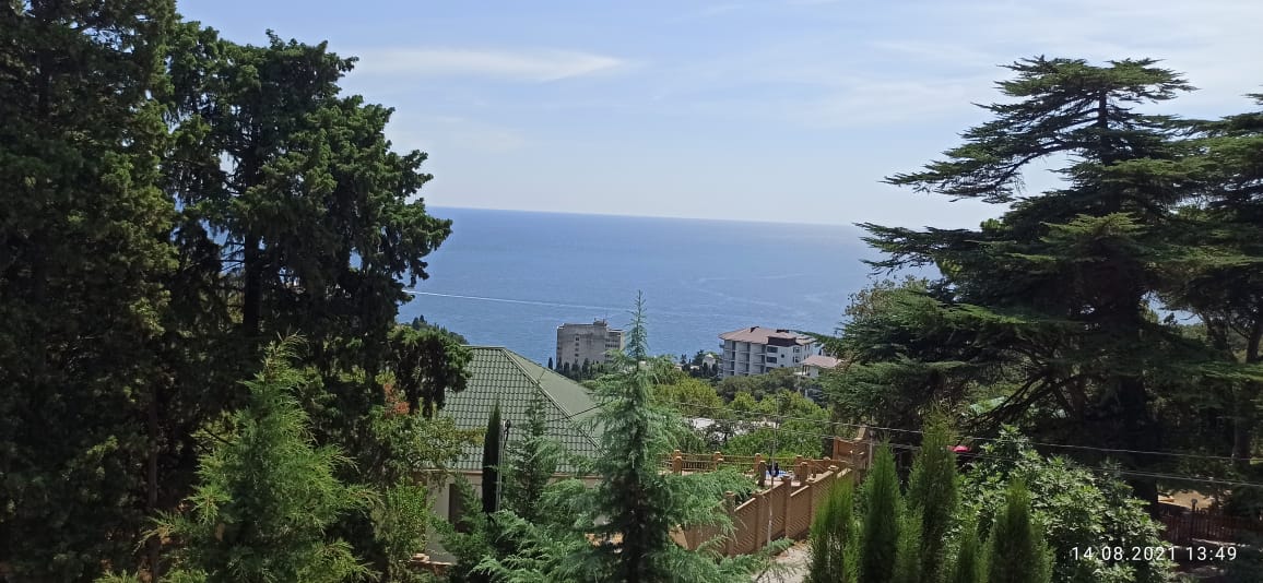 Фото Magic Kingdom