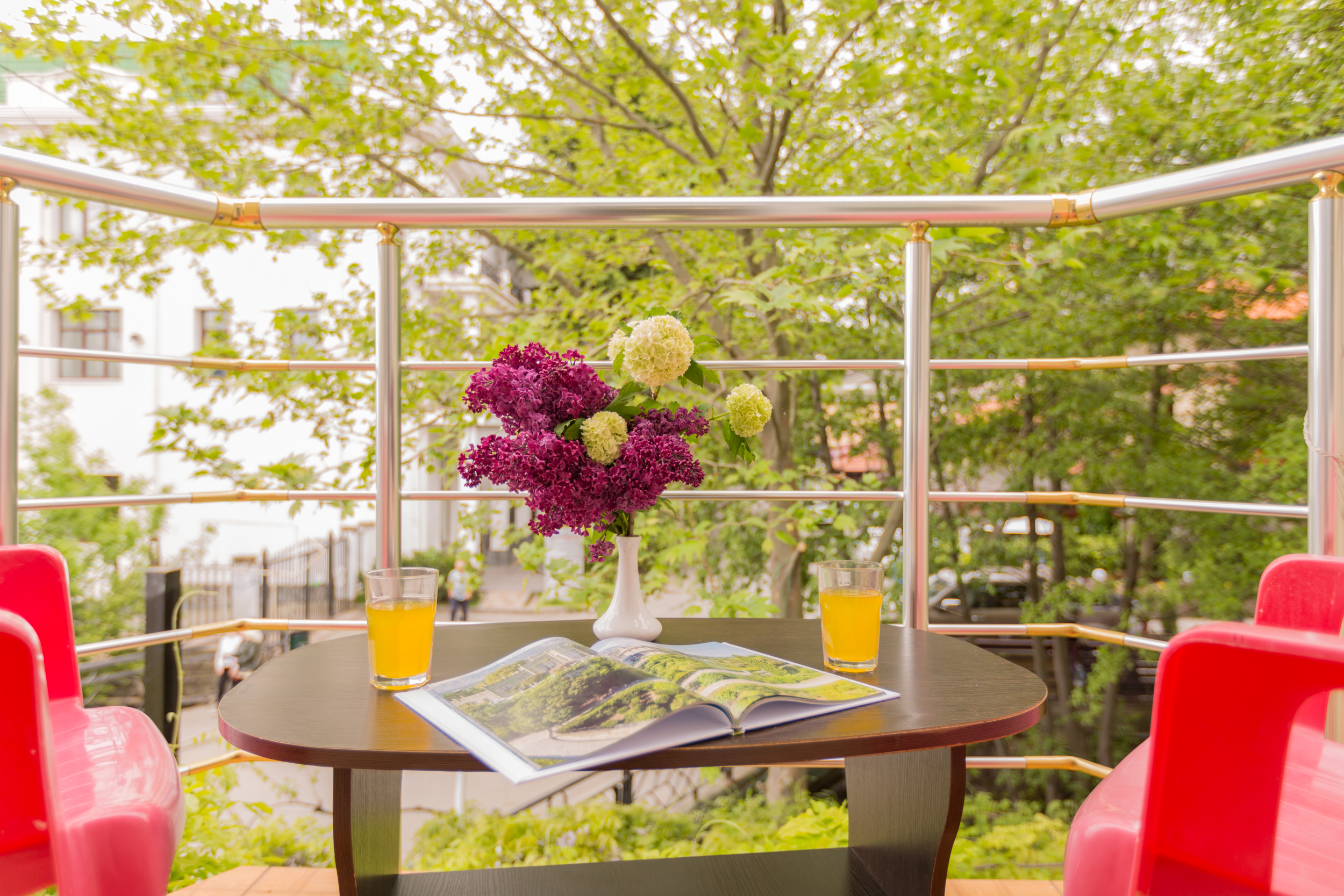 Фото Восторг