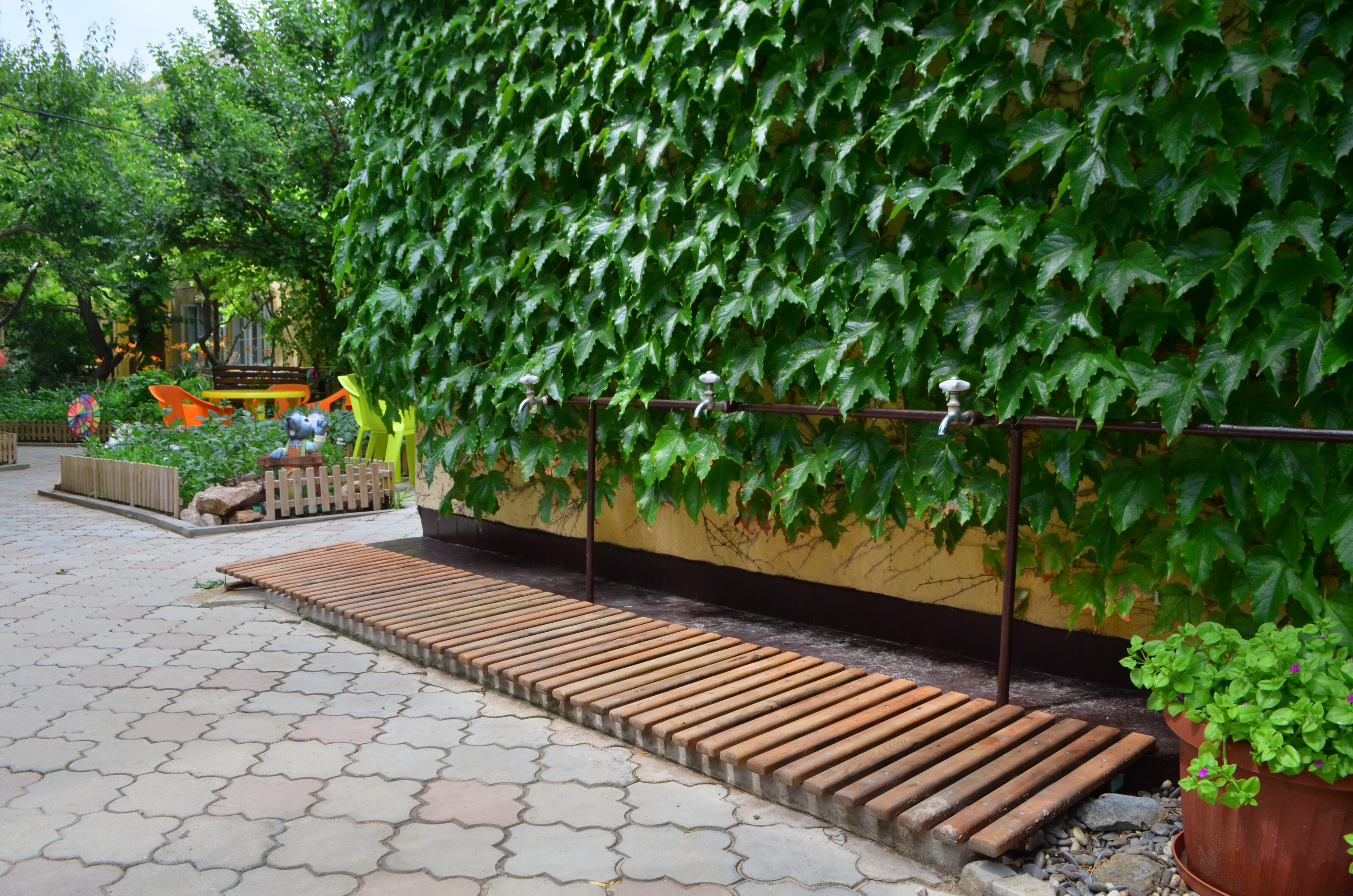 Фото Летний