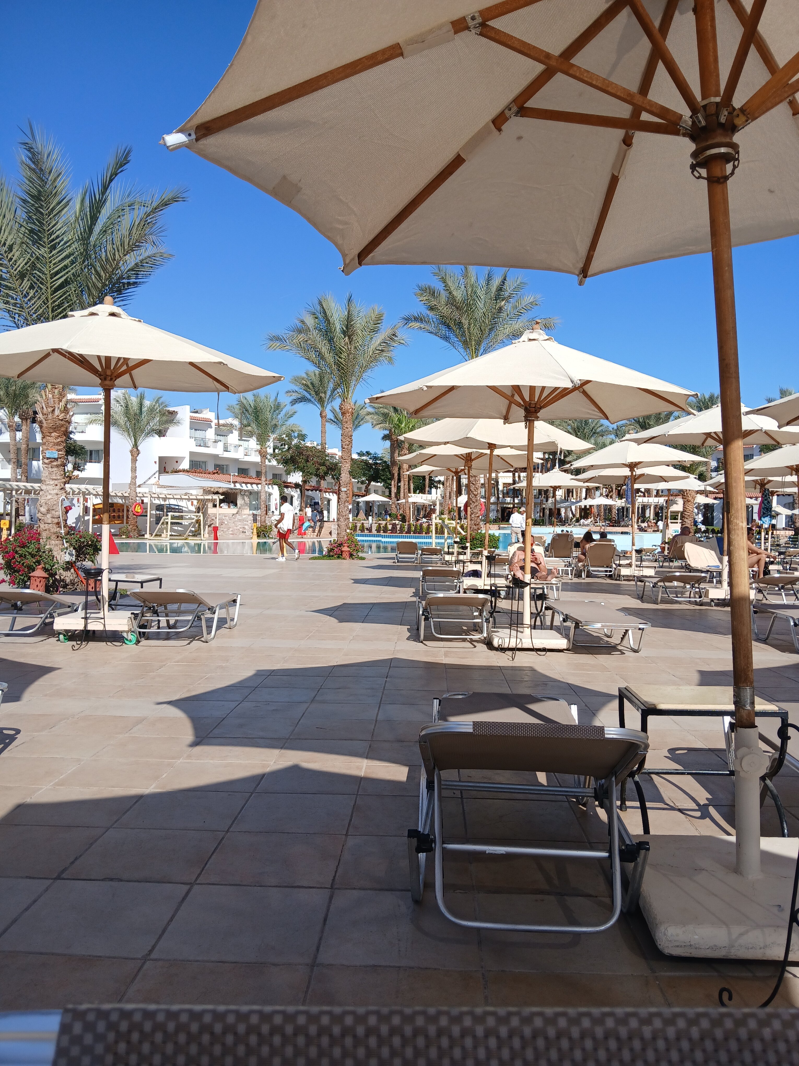 Фото Jaz Fanara Resort