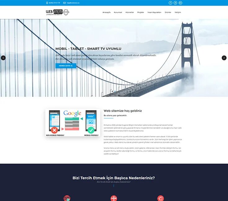 IT company Websitem Bilişim Hizmetleri, Edremit, photo