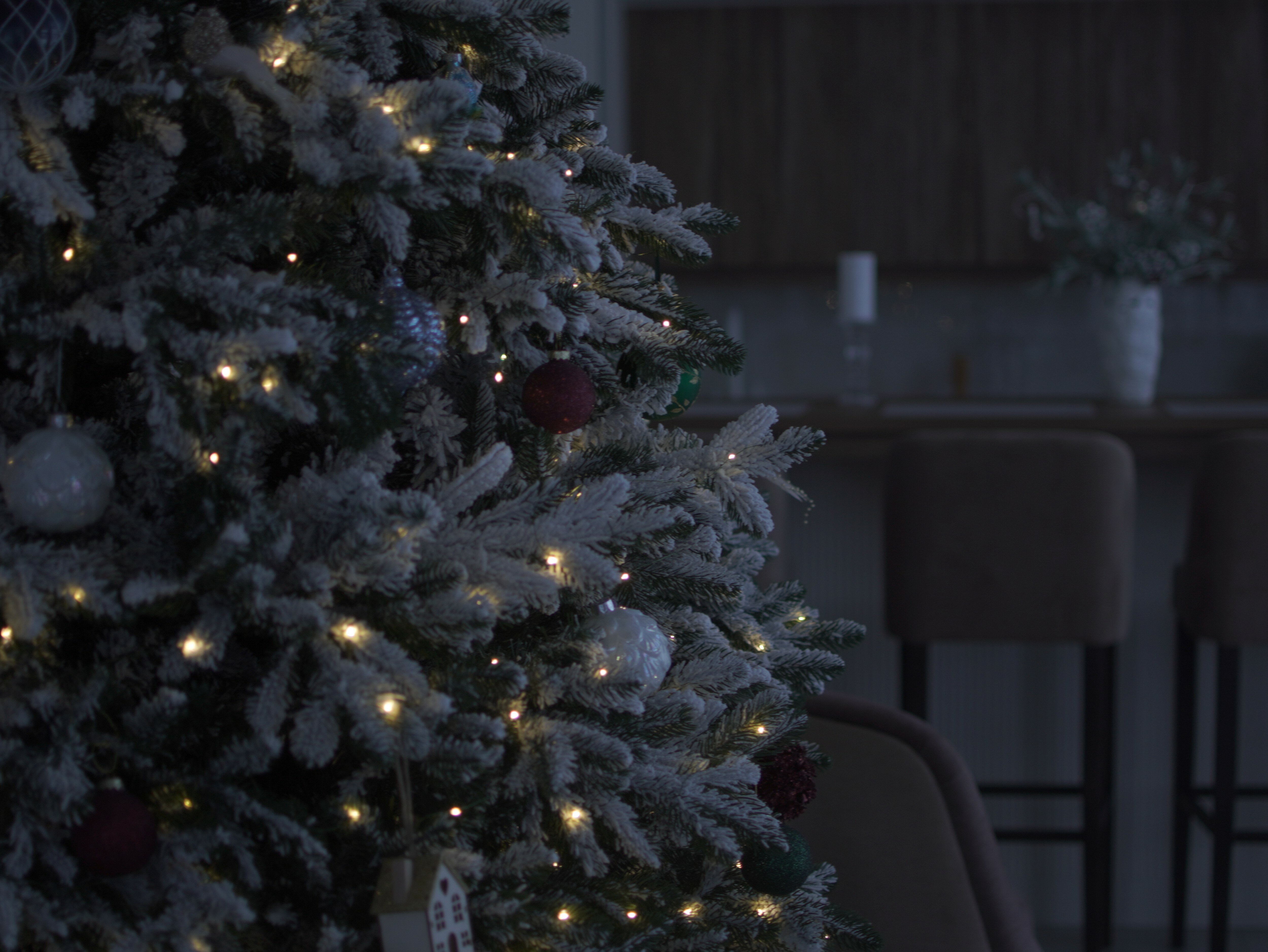 Фото Дони-парк