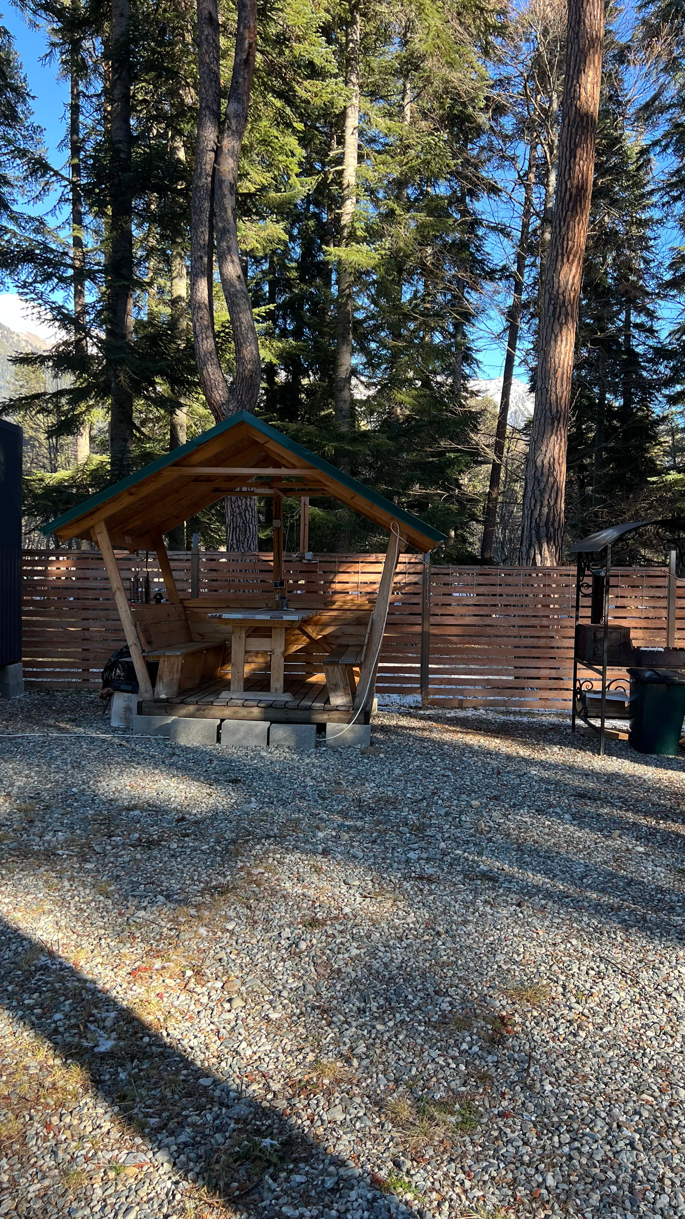 Фото Пихтовый парк