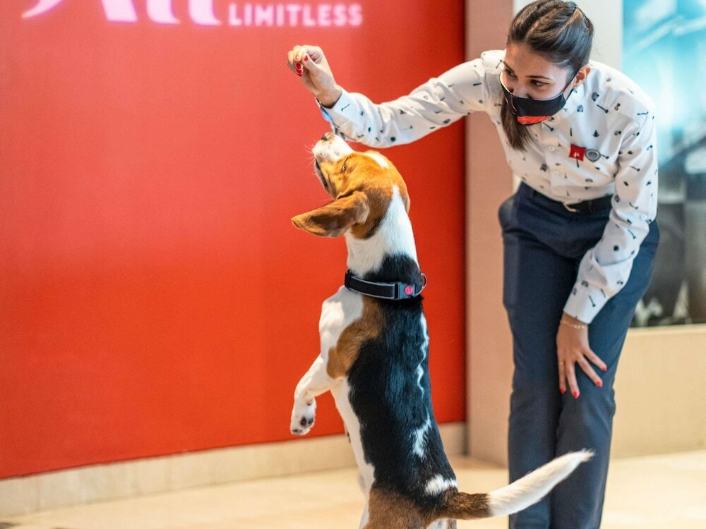 Фото Ibis Düsseldorf Hauptbahnhof