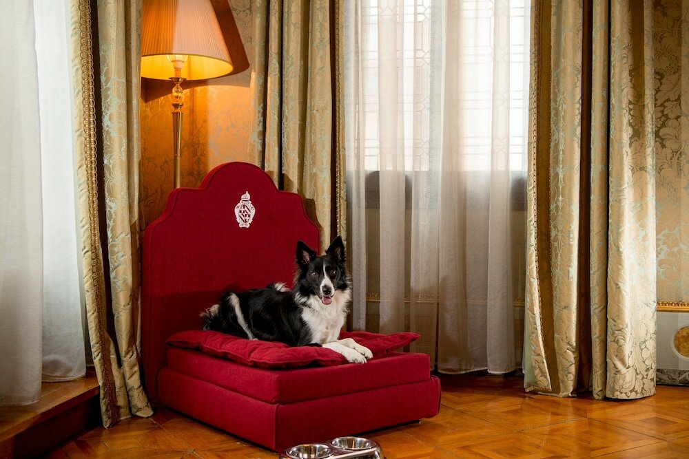Фото Hotel Danieli, a Luxury Collection Hotel