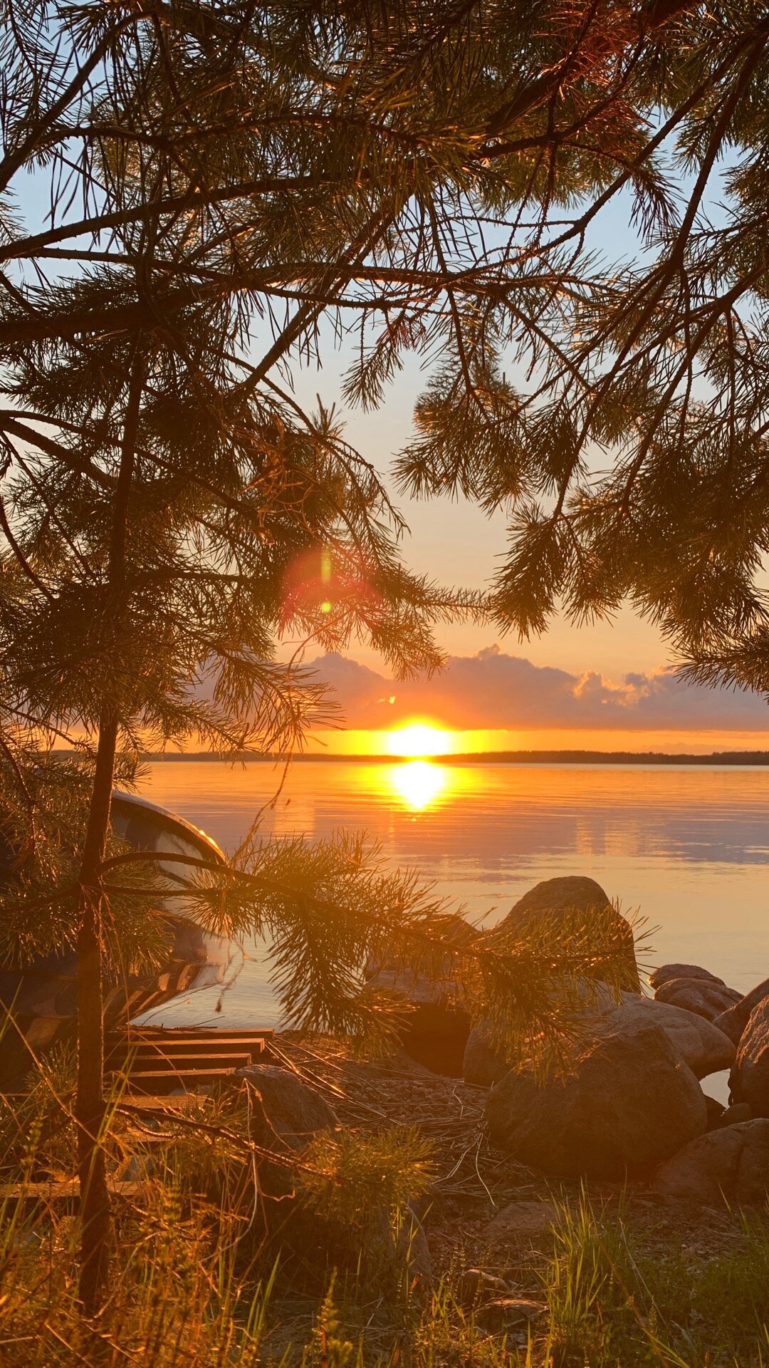 Фото Kodi järvi