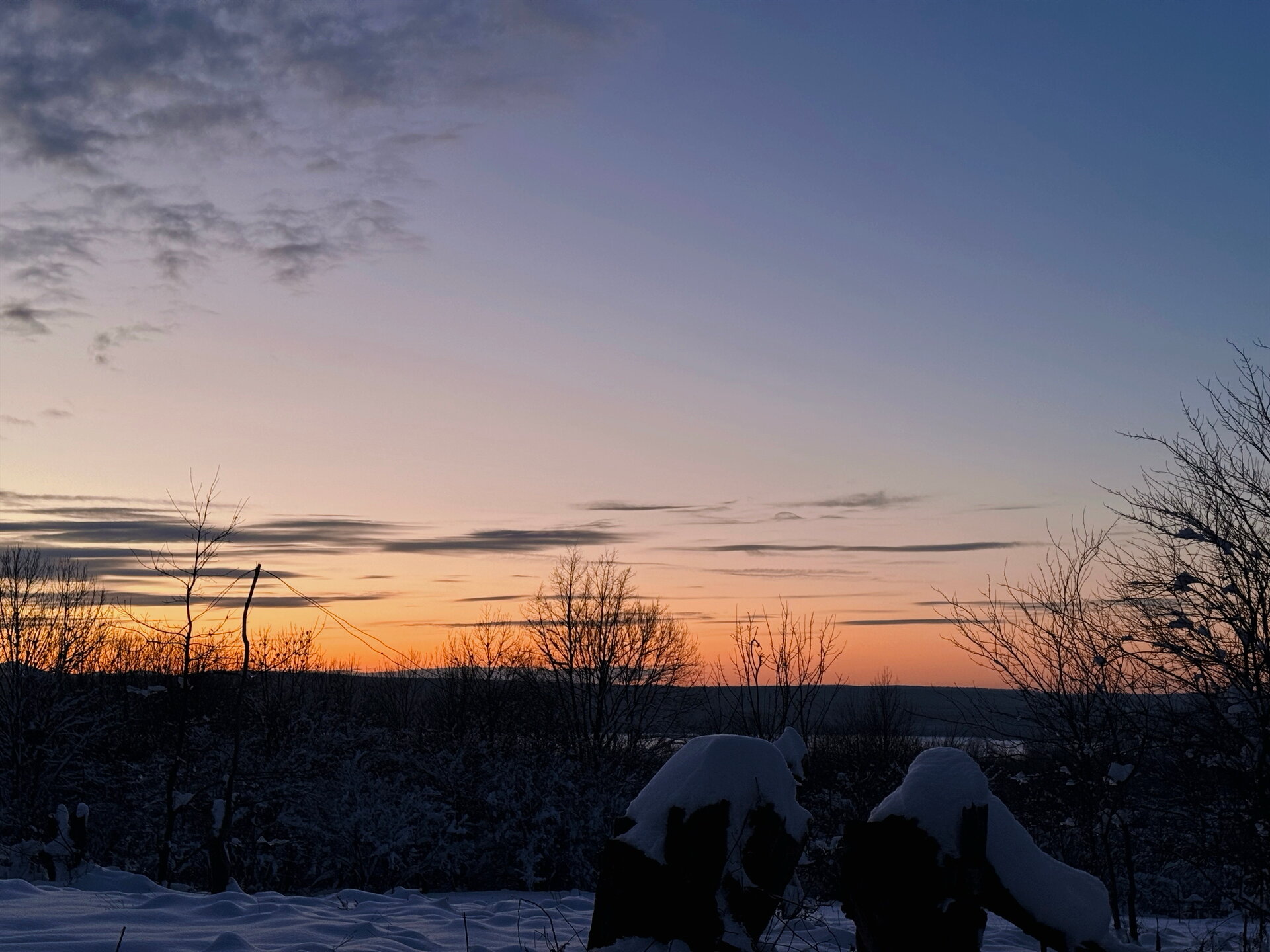 Фото Ширванка Lux