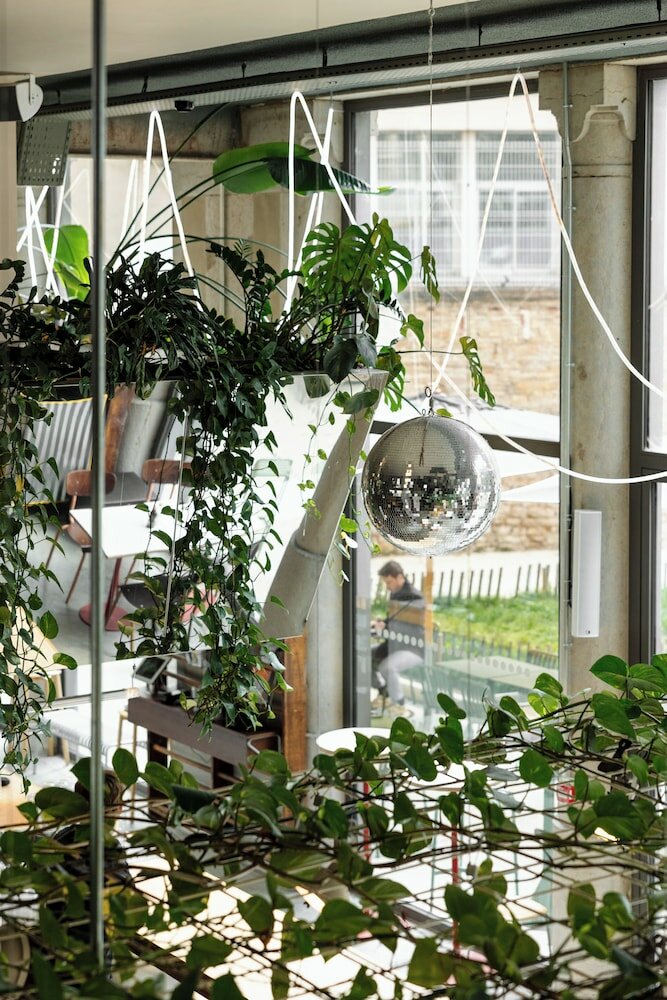 Фото 204840388098