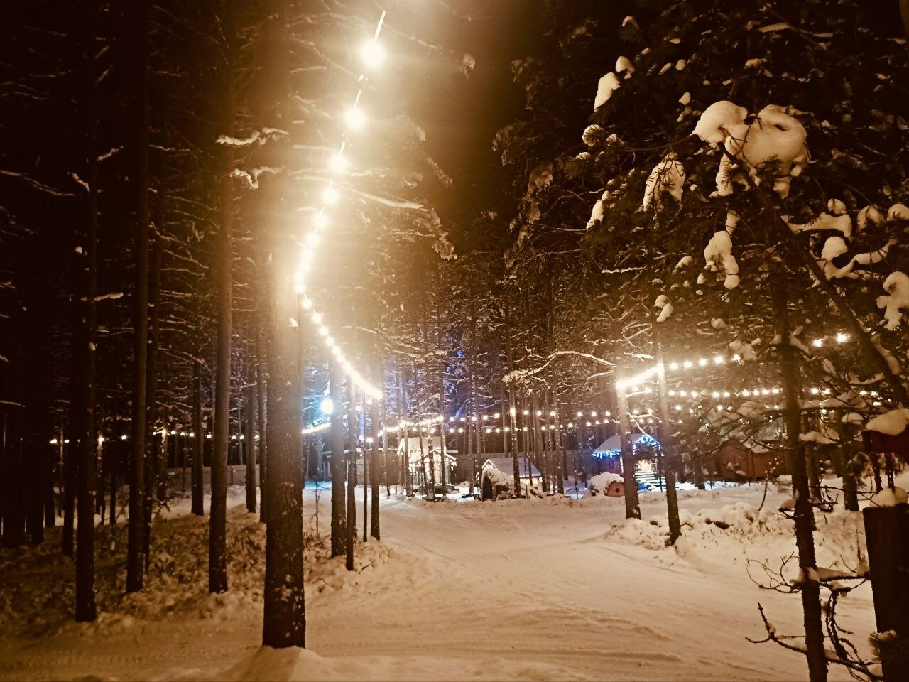 Фото Северное сияние