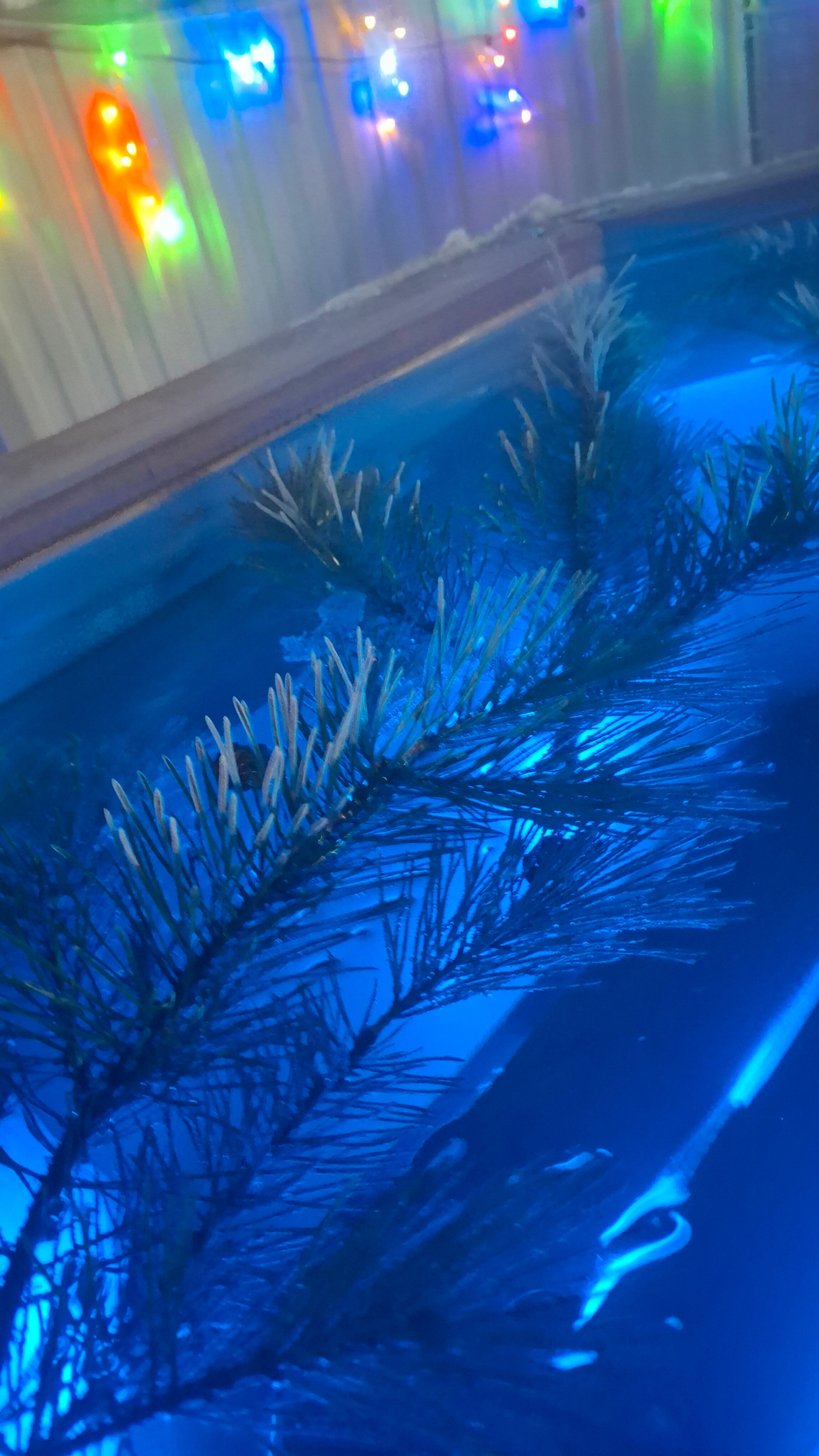 Фото Райский уголок