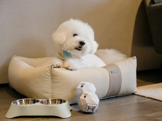 Фото Dao by Dorsett AMTD Singapore