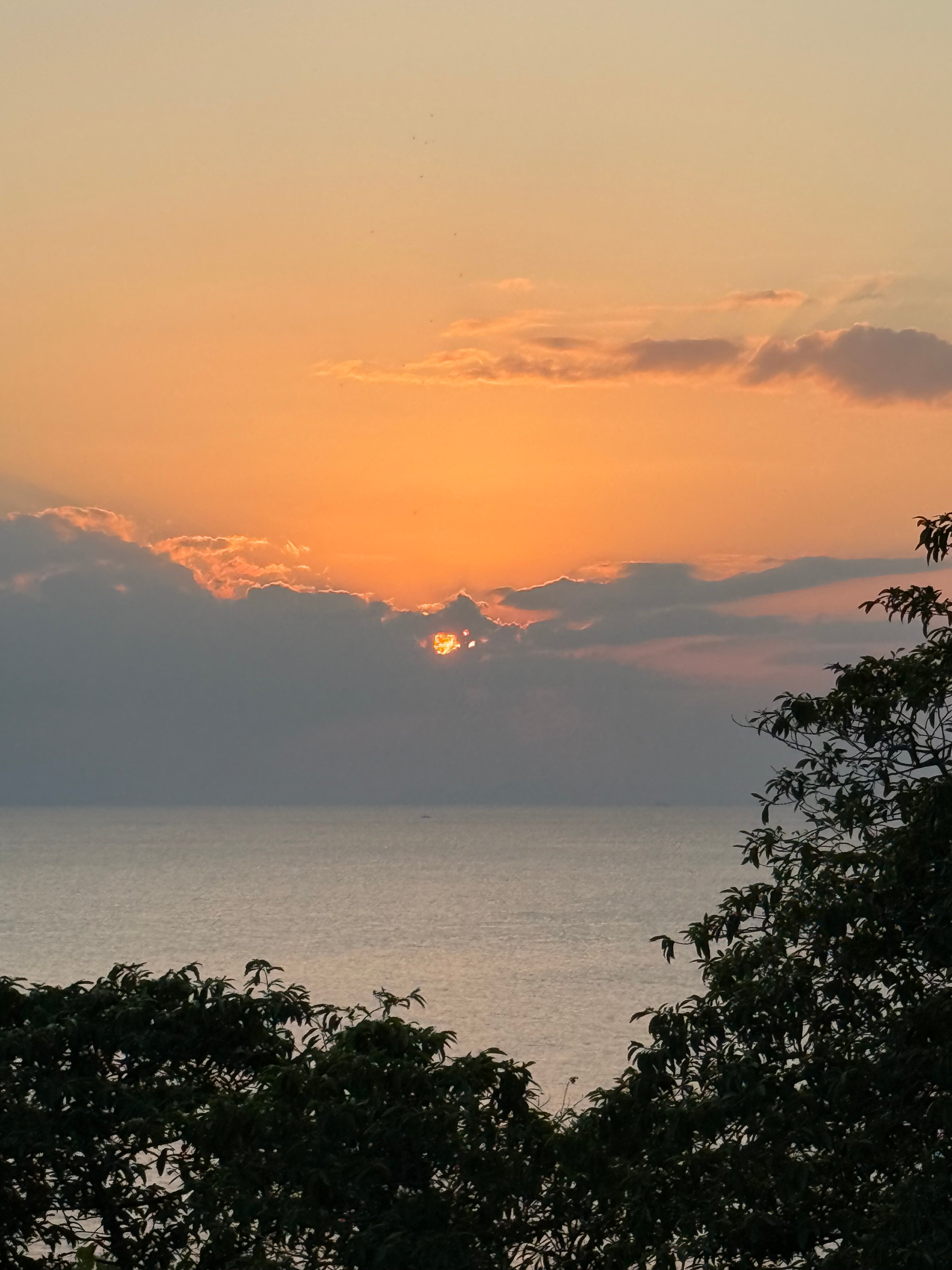 Фото Sea Breeze Resort