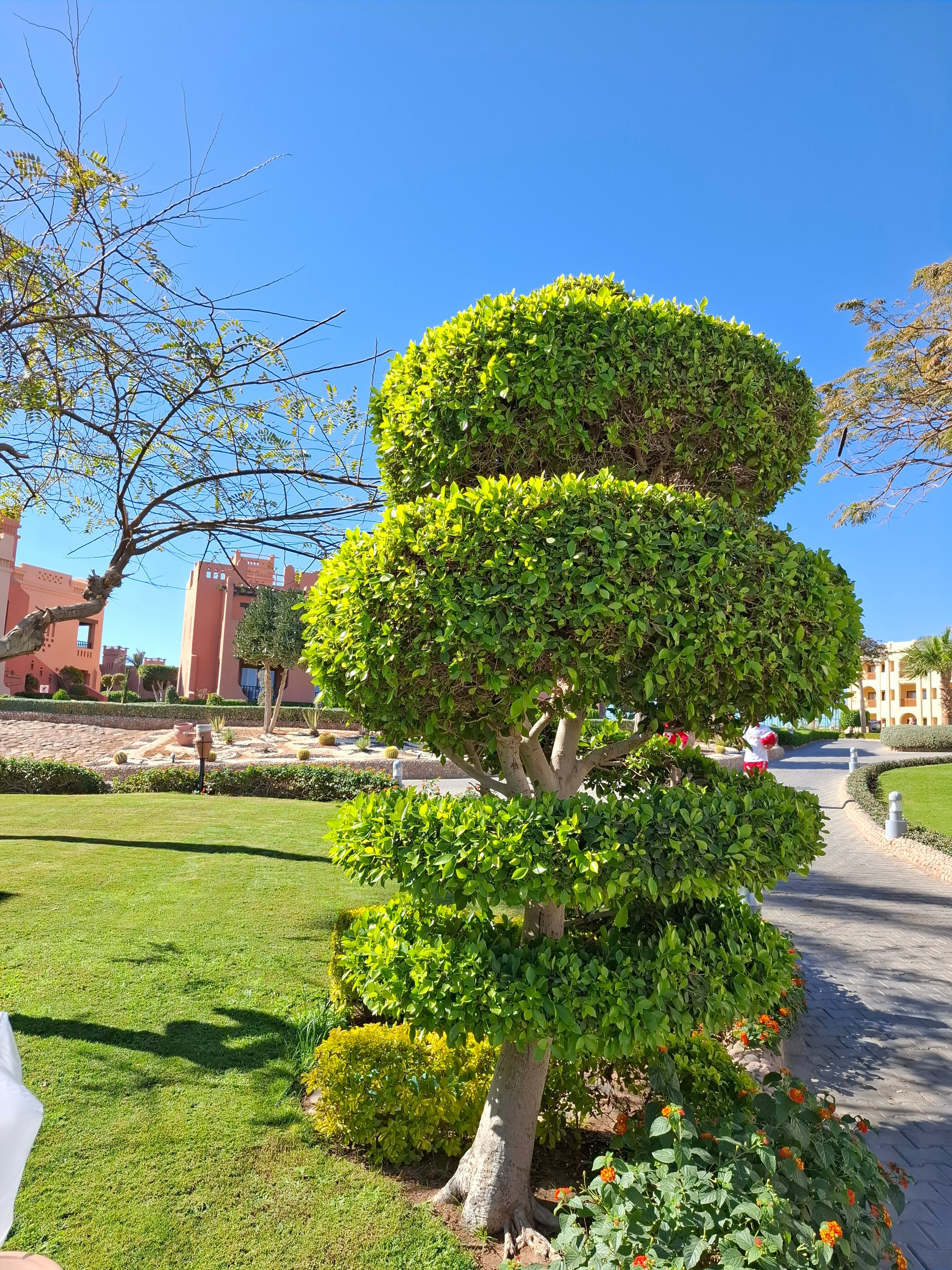 Фото Charmillion Club Resort